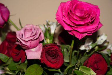 Güzel Gül Buketi, muhteşem çiçek buketi. Rusya.2019