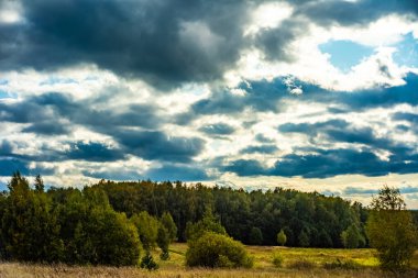 Moskova yakınlarındaki ormanda sonbahar gününde güzel bulutlar.