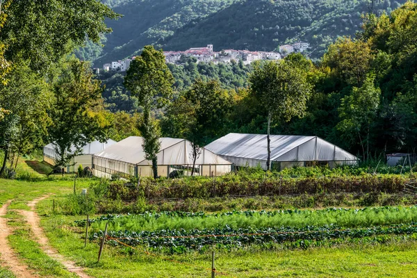 greenhouses and vegetable garden amid the woods of Italian Comino Valley in the Lazio region