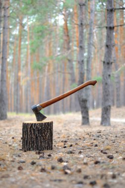 Ormanın arka planında bir ağaçtaki balta