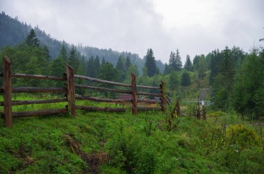 Karpatlar'daki Dzembronya köyü. Ukrayna