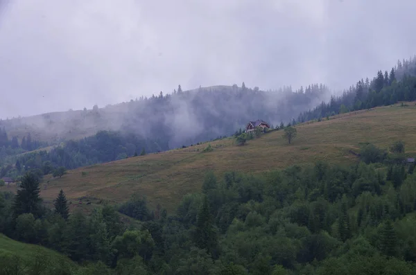 Село Дземброня Карпатах Україна — стокове фото