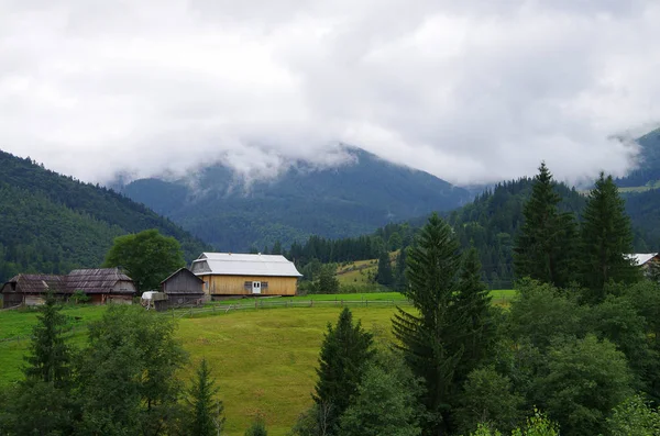 Karpatlar'daki Dzembronya köyü. Ukrayna