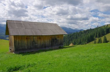 Yazın dağ manzarası. Karpatlar Ukrayna