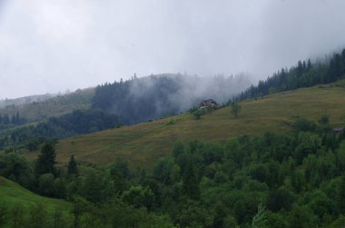 Yazın dağ manzarası. Karpatlar Ukrayna