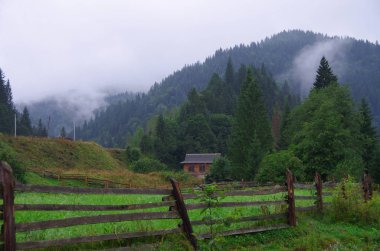 Karpat dağları. Karpatlar köyü. Ukrayna. Dzembronya köyü