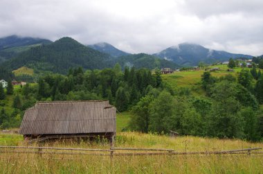 Yazın dağ manzarası. Karpatlar Ukrayna
