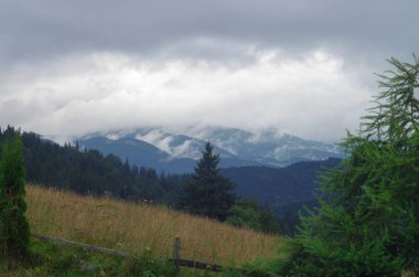 Yazın dağ manzarası. Karpatlar Ukrayna