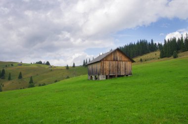 Yazın dağ manzarası. Karpatlar Ukrayna