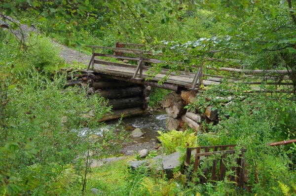 Гірський Ландшафт Влітку Карпати Україна — стокове фото