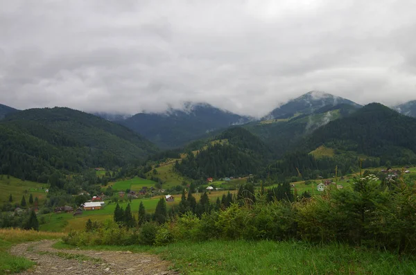 Paisaje Montaña Verano Cárpatos Ucrania — Foto de Stock