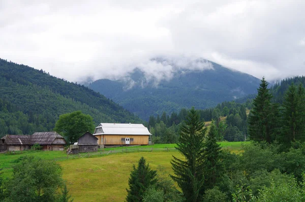 Mountain Landscape Summer Carpathians Ukraine — Stock Photo, Image