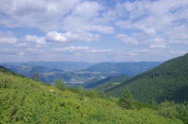 Yazın dağ manzarası. Karpatlar Ukrayna