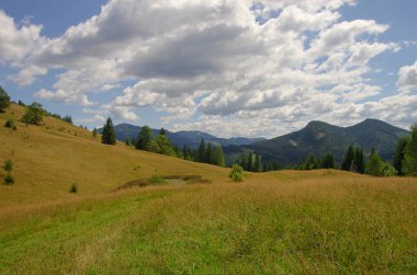 Yazın dağ manzarası. Karpatlar Ukrayna