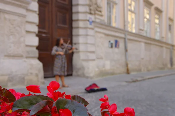 Street musician. focused flower in the foreground