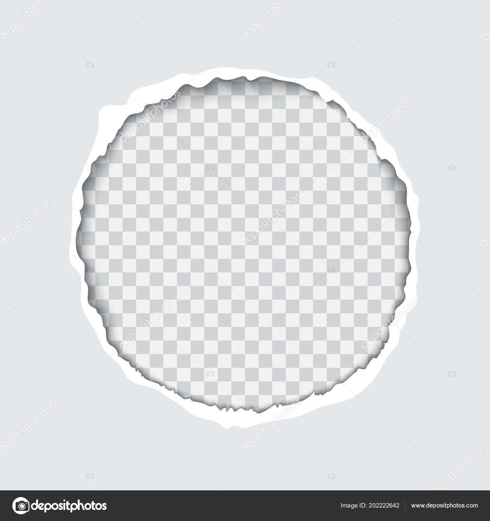 Illustration réaliste vectorielle de cercle rond transparent
