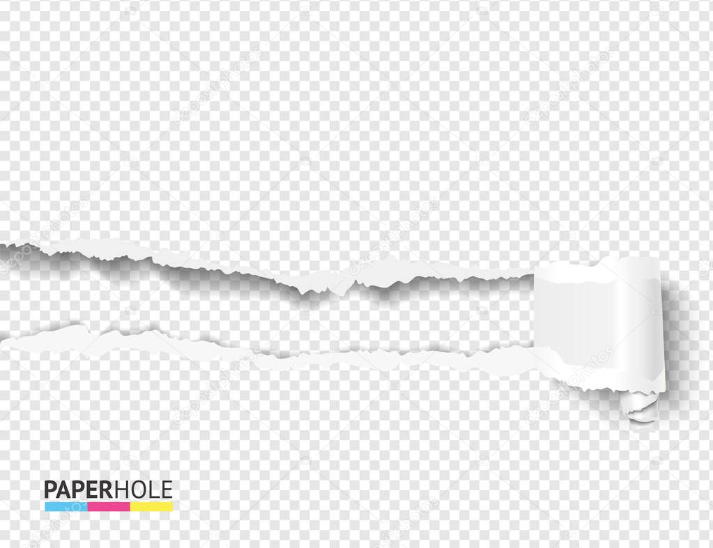 Blank banner with scrolled torn piece with paper hole on transparent as revealing message vector concept