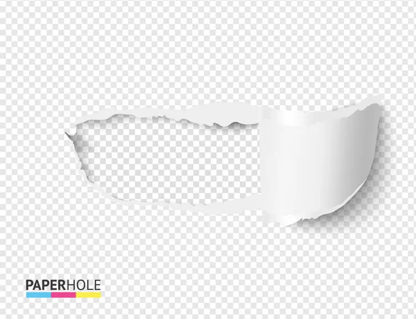 Realistic torn paper scroll and hole on transparent background for sale poster or scrapbooking. Vector illustration