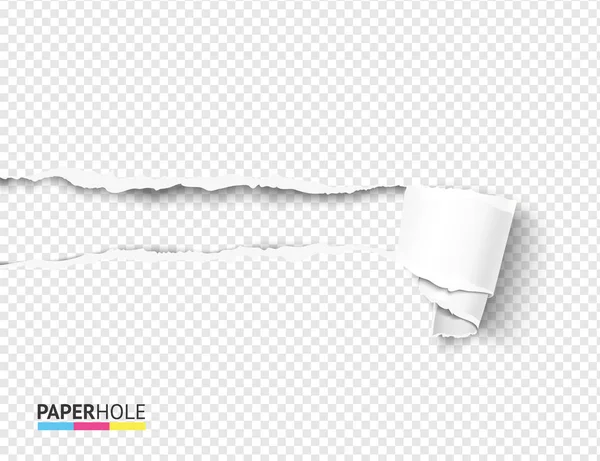 Scheur papier scroll en RIP hole blank concept af. Vector illustratie — Stockvector