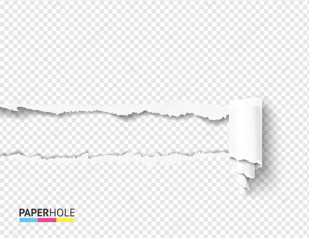 Vector teared off paper hole and scroll with rip edges on transparent background. Empty card banner for advertisement.