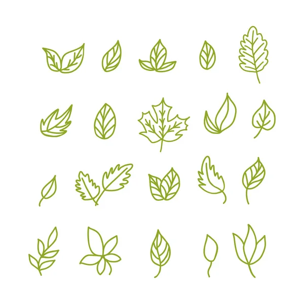 白の背景に孤立した緑の葉のアイコンのセット — ストックベクタ