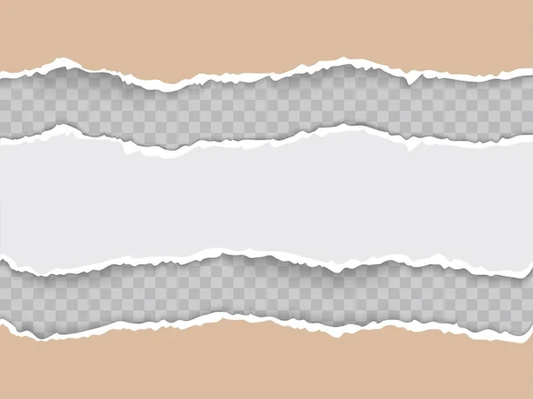 Papier déchiré avec des bords arrachés illustration vectorielle réaliste — Image vectorielle