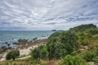 Tauranga, Yeni Zelanda - 15 Ocak 2018: kaya oluşumları bol Körfezi içinde