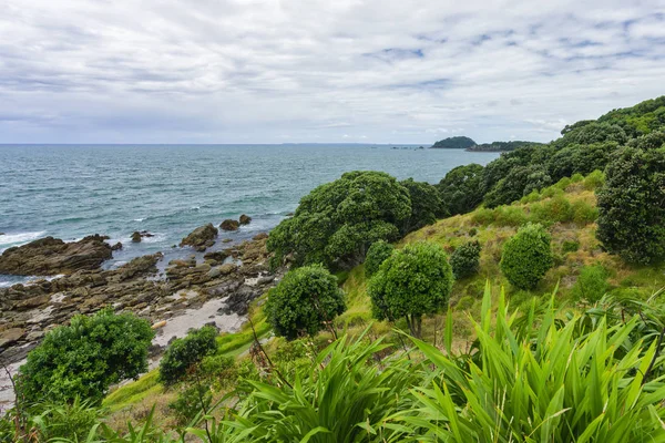 Tauranga Selandia Baru Januari 2018 Formasi Batu Teluk Ovelooking Gunung — Stok Foto