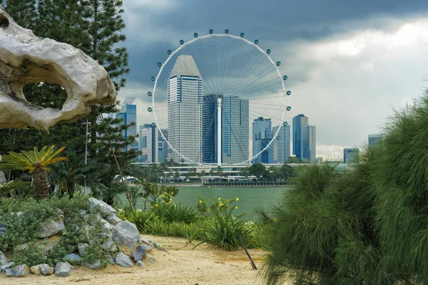 Singapore Flyer Vanuit Gardens Bay — Stockfoto