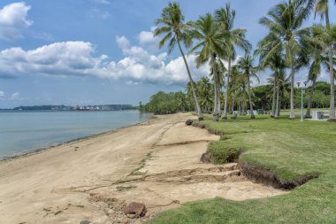 Singapur - Temmuz 8,2018: Pasir RIS Park. Tropikal beach Park'ta. 1989 yılında açıldı Singapur kısmında bulunan bir Sahil Parkı Pasir RIS parktır. Bu 70 hektar arazi, bir geri arazi dahil olmak üzere kaplar. Bu kıyı park larg arasında olduğunu