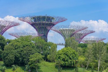 Singapur - 11 Ağustos: Supertree Gardens Bay tarafından