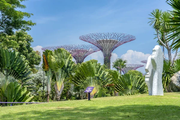 Singapore Augustus Beeldhouwkunst Supertrees Bij Gardens Bay — Stockfoto