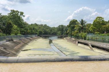 Singapur - 8 Temmuz 2018: fırtına drenaj arka ormanda ile kurumuş