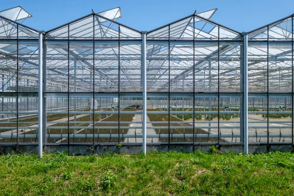 ウエストランド オランダの中を表示します ウエストランドは オランダの南ホラント州の領域です 商業ガラス温室や温室 野菜や花のハイテク生産設備 — ストック写真