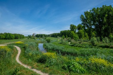 Polder manzara, Hollanda Rotterdam'da yakın bir rekreasyon alanı