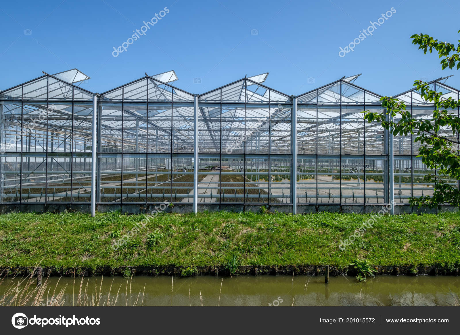Frontal View Greenhouse Westland Netherlands Westland Region
