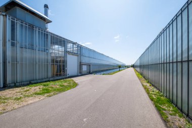 Westland, Hollanda serada. Westland Hollanda'nın bir bölgesi ve Güney Hollanda Eyaleti Batı bölümünde yatıyor. Ticari cam seralar veya seralarda sebze veya çiçek için yüksek teknoloji üretim tesisleri vardır