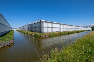 Endless greenhouses in Westland, the Netherlands. Westland is a region of the Netherlands in the Province of South Holland. Commercial glass greenhouses or hothouses are high tech production facilities for vegetables or flowers. clipart