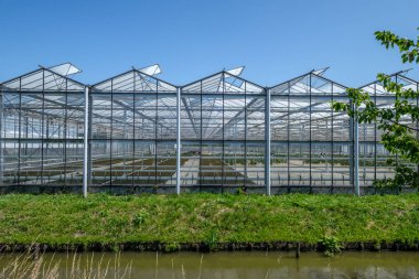 Bir sera Westland Hollanda ön görünümü. Westland Hollanda Eyaleti Güney Hollanda'nın bir bölgesidir. Ticari cam seralar veya seralarda sebze veya çiçek için yüksek teknoloji üretim tesisleri vardır.