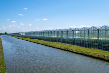 Perspektif görünümü bir sera Westland bir kanal boyunca azalan. Westland Hollanda Eyaleti Güney Hollanda'nın bir bölgesidir. Ticari cam seralar veya seralarda sebze veya çiçek için yüksek teknoloji üretim tesisleri vardır