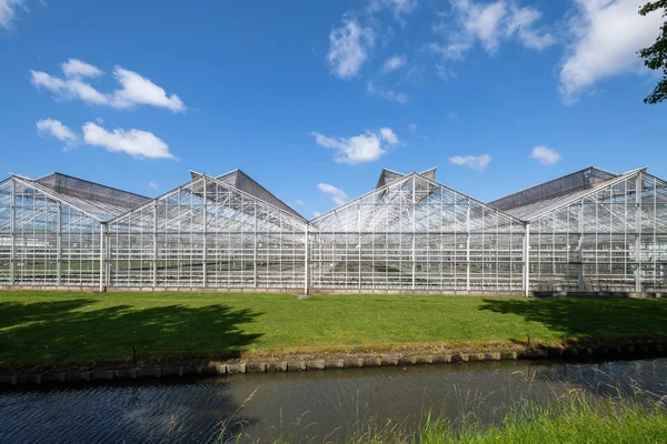 Kasvihuone Westlandissa Alankomaissa Westland Alankomaiden Alue Kaupallinen Lasi Kasvihuoneet Tai — kuvapankkivalokuva