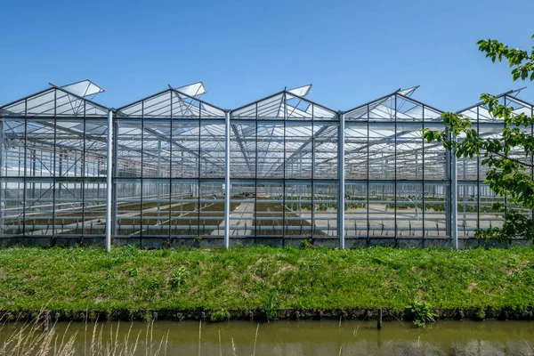 Vooraanzicht Van Een Kas Westland Nederland Westland Een Regio Van — Stockfoto