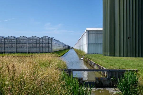 Kasvihuone Valtava Öljysäiliö Lämmitykseen Westland Alankomaat Westland Alankomaiden Alue Etelä — kuvapankkivalokuva