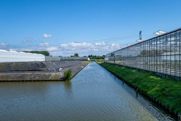 Maaseudun Näkymä Kasvihuoneisiin Alankomaissa Westland Alankomaiden Alue Etelä Hollannin Provinssin — kuvapankkivalokuva