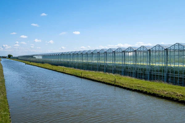 Diminishing perspective view of a greenhouse along a canal in Westland. Westland is a region of the Netherlands in the Province of South Holland. Commercial glass greenhouses or hothouses are high tech production facilities for vegetables or flowers