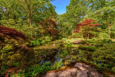Geç bahar renkleri haiku bahçesinde Clingendael, Lahey, Hollanda