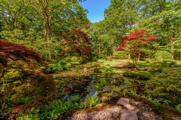 Geç bahar renkleri haiku bahçesinde Clingendael, Lahey, Hollanda