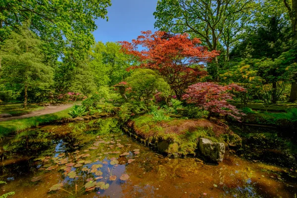Yansıma Clingendael, Lahey, Hollanda haiku bahçede gölet
