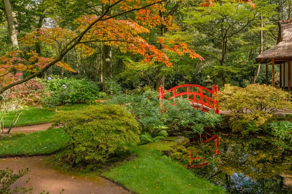 Clingendael, Lahey, Hollanda haiku bahçesinde sonbahar yaprakları