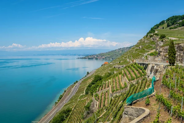 Vista Sul Lago Ginevra Direzione Losanna Dalla Splendida Zona Delle — Foto Stock